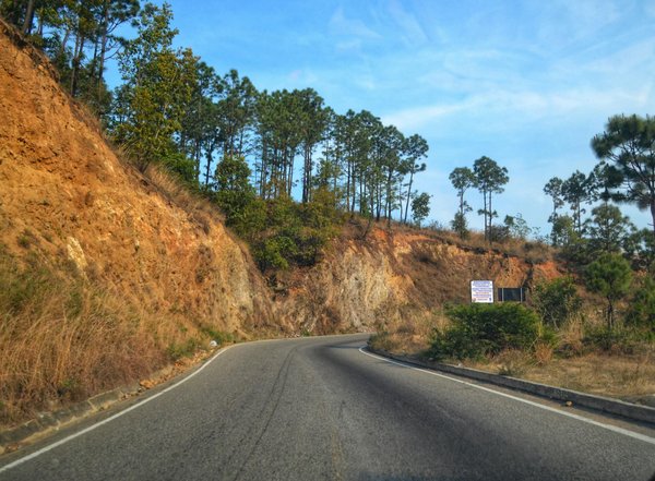 Leasing Clio 5 : des modèles récents à partir de 118 € par mois